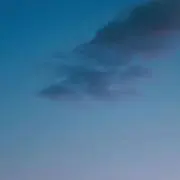 ひよこの画像