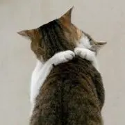 いこᒼᑋªⁿ♥︎