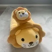 智和藤原