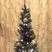 S.S