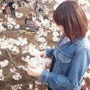 はなの画像