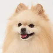 ゆっち