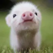 なーみの画像