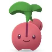 ちぇりんぼの画像
