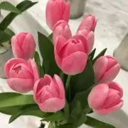 ゆうの画像