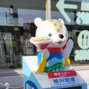 おがわの画像
