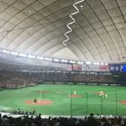 高橋由伸の画像