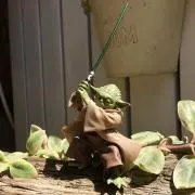 さちの画像