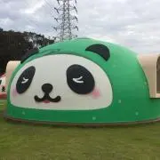 ゆーあんの画像