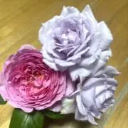 優也の画像