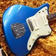 blue birdの画像