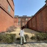 MaUの画像