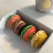莉莉の画像