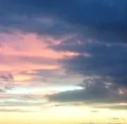ゴンドウの画像