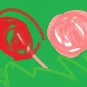 花おくらの画像