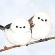 ポンポン☆即日発送の画像