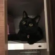 まるうみ