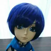 アオの画像