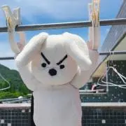 Jellychen971222の画像
