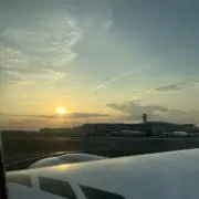 とまとの画像