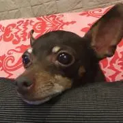 引越のため大量出品中♬