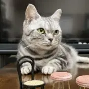 sat++の画像