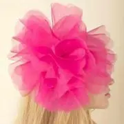 ぽんぽこ。の画像