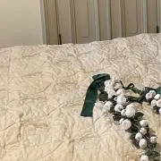miiの画像