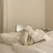 ぱるの画像
