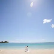mimiの画像