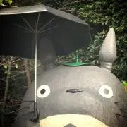 chiiimoccoの画像