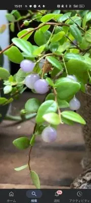 佐藤の画像