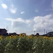 Beebearri୨୧˙˳⋆﻿