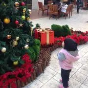 しーほ。