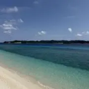 あきたけの画像
