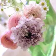aruneの画像