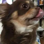 あすか