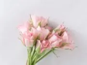 【断捨離中】の画像
