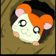 ハム太郎