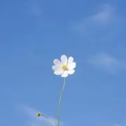 Yu【即購入◎•値下げ交渉可！】