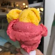 gpの画像