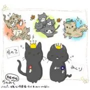 きなの画像