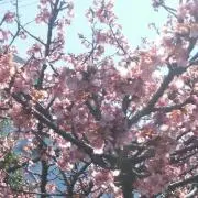 悠都