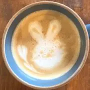 けあるの画像