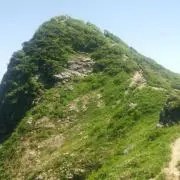 むらさき