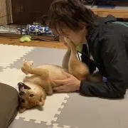 けいた