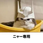にゃーの画像