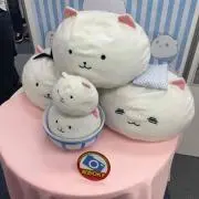 シーナ