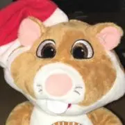 やんよこはまの画像