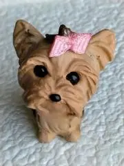 とびぃの画像